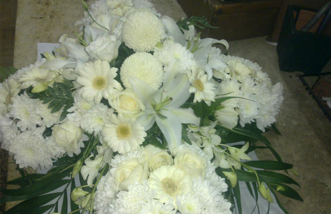 kappa-8.jpg