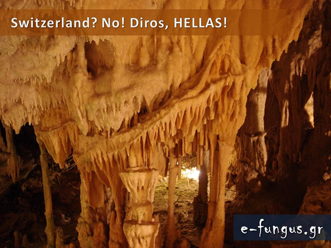 hellas06