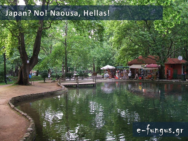 hellas07
