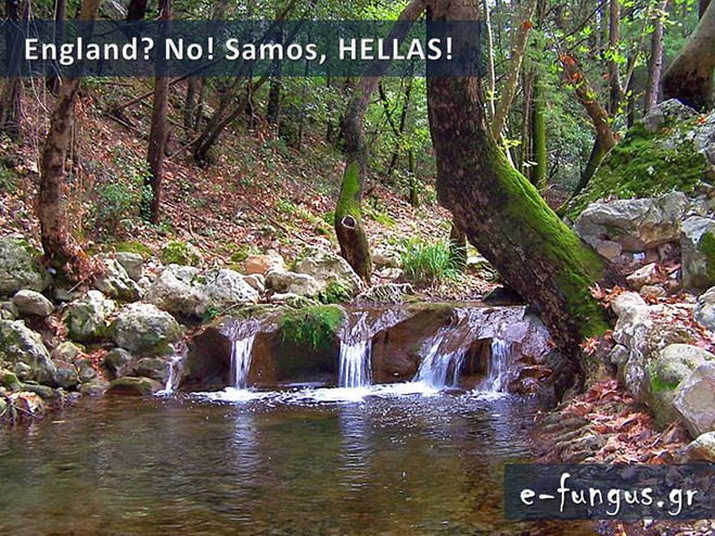hellas09