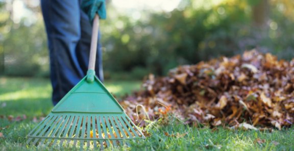Spring-Cleaning-In-Your-Garden1 0