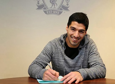 luis