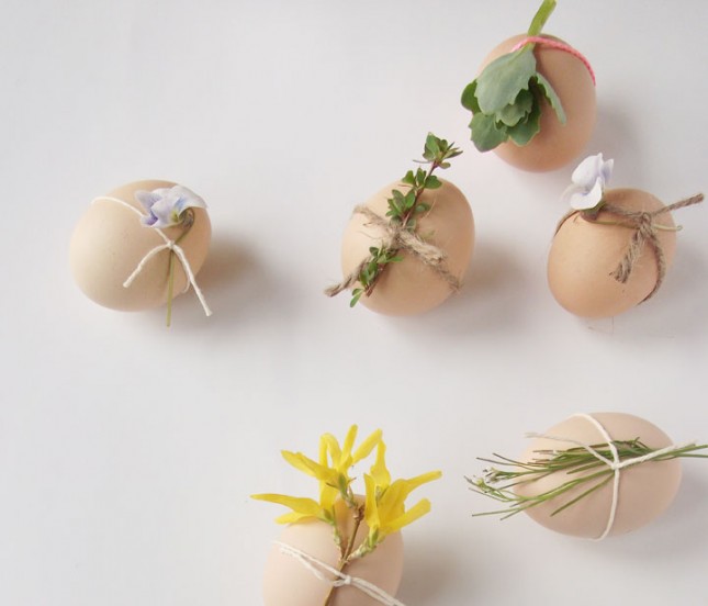 egg3