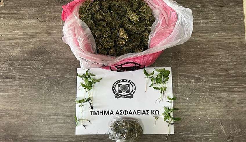 Συνελήφθη ημεδαπός για κατοχή και καλλιέργεια κάνναβης στην Κω