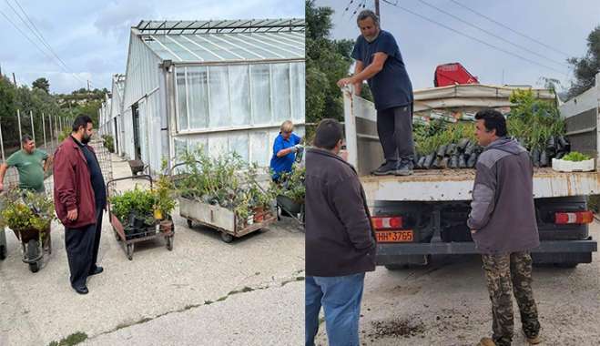 Σε τροχιά παραδόσεων το φυτώριο της περιφέρειας !