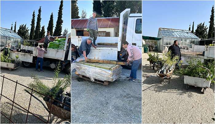 Περισσότερα από 3000 χιλιάδες φυτά διέθεσε σε φορείς των νησιών το Περιφερειακό Φυτώριο Νοτίου Αιγαίου