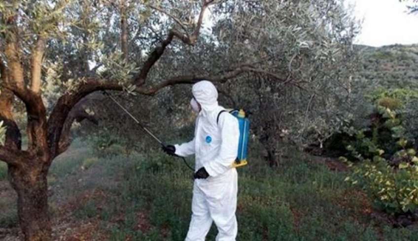 Ξεκινάει η καταπολέμηση του δάκου στα Δωδεκάνησα