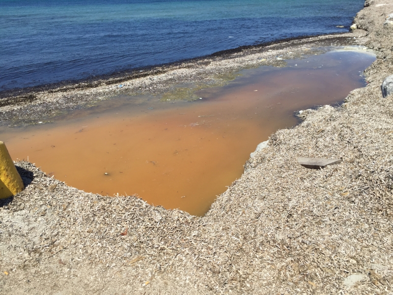 Στο απόλυτο μηδέν η εικόνα του νησιού… και το Μαστιχάρι στα θύματα της διοικητικής ανεπάρκειας Κυρίτση