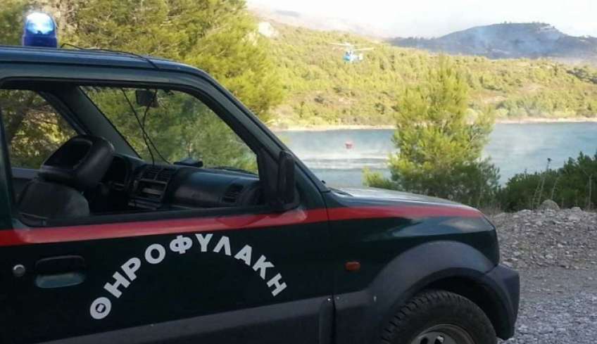 Σύλληψη στην Κω για παράνομη θήρα λαγού