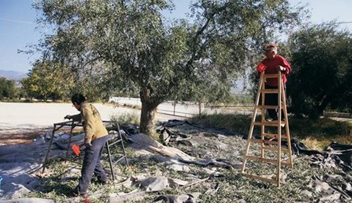 Εκκαθαριστικά - σοκ για 620.000 αγρότες και 200.000 πολίτες με γεωργικά εισοδήματα