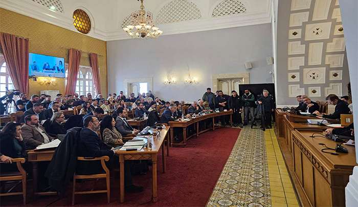 Ομόφωνα οι παρατάξεις του Περιφερειακού Συμβουλίου Νοτίου Αιγαίου ψήφισαν υπέρ της ανάγκης μείωσης του αριθμού των ελαφιών στο νησί της Ρόδου