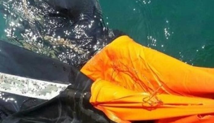 Ιταλία: Aπό Κέρκυρα είχε ξεκινήσει η λέμβος που μετέφερε στην Κάτω Ιταλία 22 μετανάστες