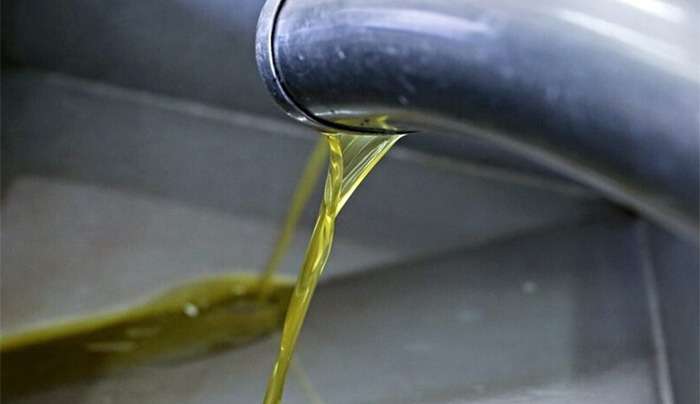 Μην χρησιμοποιείτε αυτό το ελαιόλαδο - Κάνει κακό για την υγεία σας