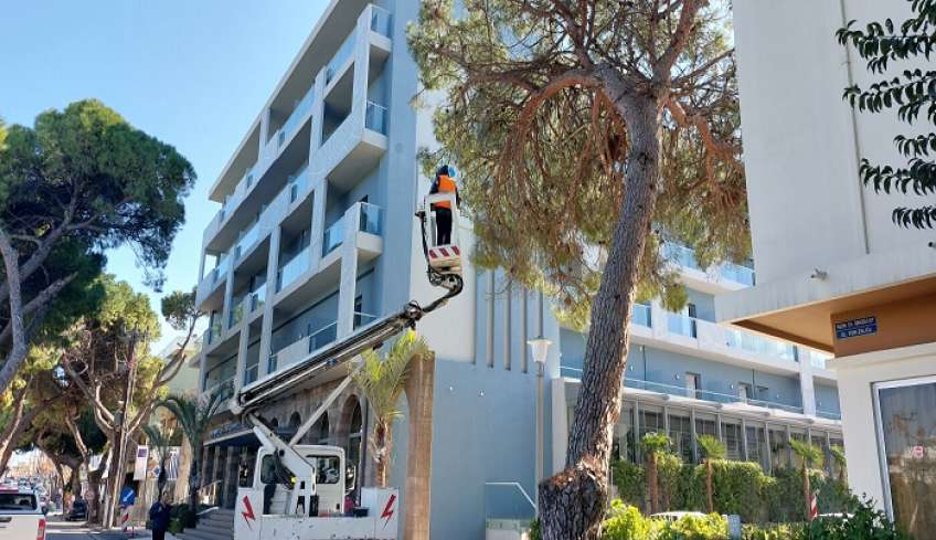 Απομάκρυνση άλλου ενός δέντρου επί της Ελ.Βενιζέλου, το οποίο πήρε επικίνδυνη κλίση με την κακοκαιρία των ημερών