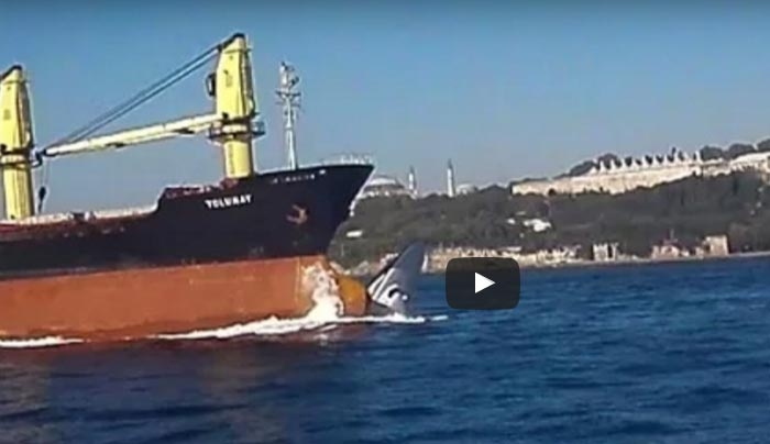 Ρωσικό φορτηγό βυθίζει σκάφος της τουρκικής ακτοφυλακής στον Βόσπορο! ΒΙΝΤΕΟ