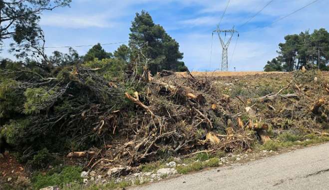 Υποχρεωτικός ο καθαρισμός οικοπέδων από την 1η Απριλίου - Βαριά τα πρόστιμα
