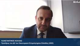 Κ. Κόλλιας: Πρόταση για ρήτρα 20ετούς σταθερού φορολογικού καθεστώτος για την επαγγελματική ασφάλιση