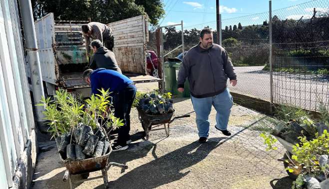 Πάνω από 2.000 φυτά σε δήμους, σχολεία και κοινότητες των νησιών από το Περιφερειακό Φυτώριο Νοτίου Αιγαίου