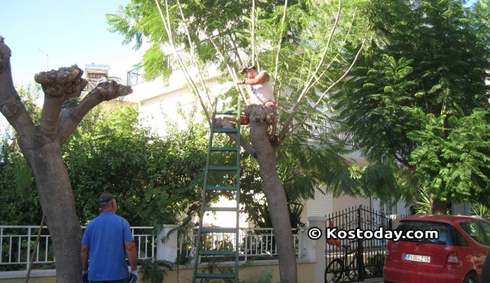 Δήμος Κω: Προγραμματισμένες εργασίες από Δευτέρα 21-08-2017 έως Παρασκευή 25-08-2017