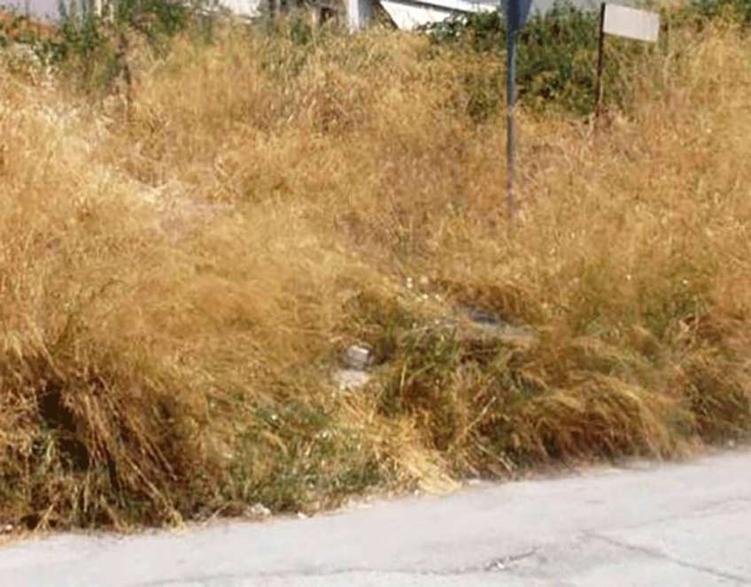 Μέχρι τις 30 Απριλίου ο καθαρισμός των οικοπέδων – Απαγόρευση της οποιασδήποτε χρήσης πυρός από 20-04-2023