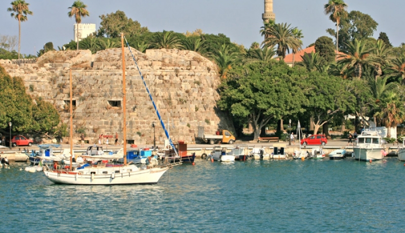 Έπεσαν με γουρούνα στο λιμάνι της Κω