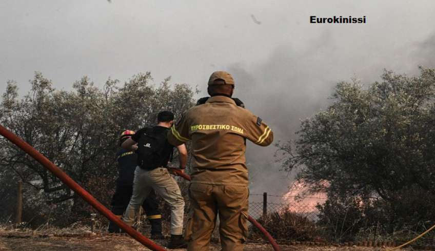 Φωτιά στη Μαγνησία: «Με την πρώτη βροχή, οι καρκινογόνες ουσίες της πυρκαγιάς θα περάσουν στο νερό που πίνουμε» - Κραυγή αγωνίας από καθηγητή