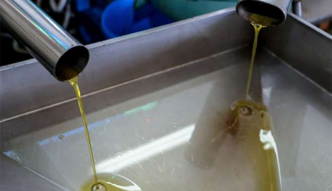 Ελαιοκομικό Mητρώο: Πρόστιμα έως 5.000 ευρώ για το αδήλωτο ελαιόλαδο