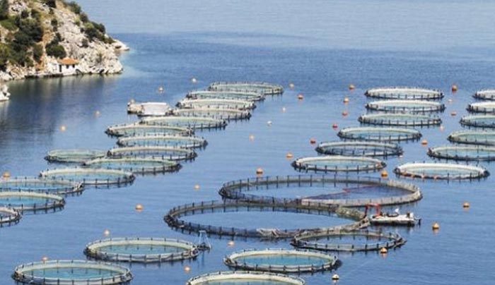 Αναθεωρούνται τα Χωροταξικά για τις υδατοκαλλιέργειες (βίντεο)