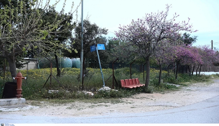 Θρίλερ στην Κυψέλη: Καταθέτει η 25χρονη έγκυος για την επίθεση με καυστικό υγρό - Πληροφορίες ότι είναι σεσημασμένη