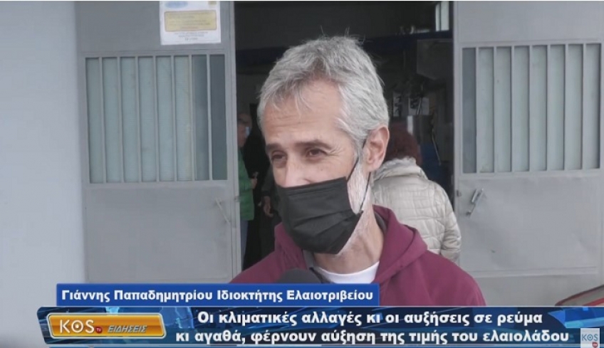 Αύξηση τιμής ελαιολάδου -Μειωμένη κατά 50% είναι η παραγωγή ελαιολάδου φέτος στην Κω, λόγω ανομβρίας (ΒΙΝΤΕΟ)