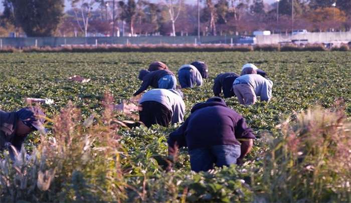 Άγγιξαν τις 400.000 τα αιτήματα για μετακλήσεις ξένων εργατών