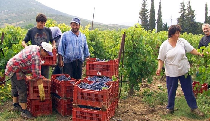 Με υποσχέσεις προσπαθεί η κυβέρνηση να κλείσει το αγροτικό μέτωπο