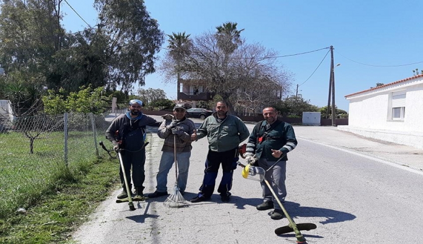 Ολοκλήρωση εργασιών κλαδέματος και αποψίλωσης χόρτων