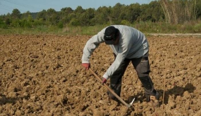 «Μαχαίρι» έως 60% σε συνταξιούχους που έχουν και εισόδημα από αγροτική δραστηριότητα