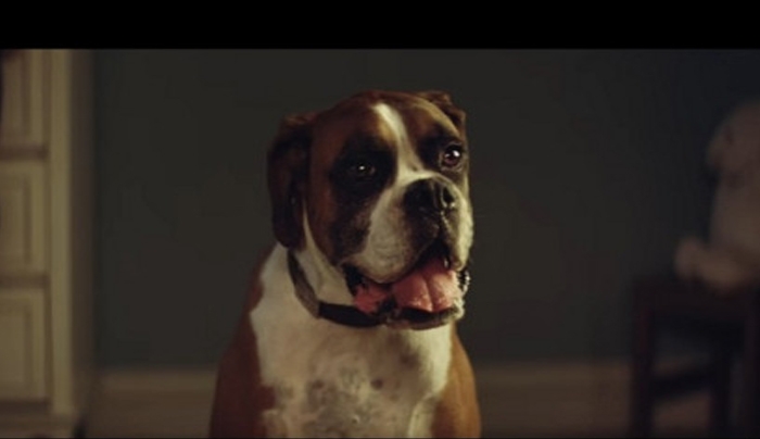 #BusterTheBoxer: Viral η χριστουγεννιάτικη διαφήμιση των "John Lewis"! [βίντεο]