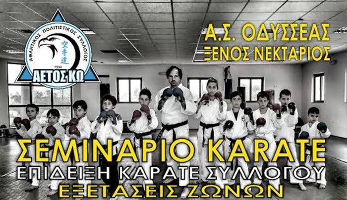 ΑΣ ΑΕΤΟΣ ΚΩ: Σεμινάριο KARATE- Επίδειξη και εξετάσεις