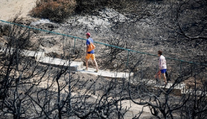 Το Μάτι κάηκε από… 17 φορείς και 6 υπουργεία