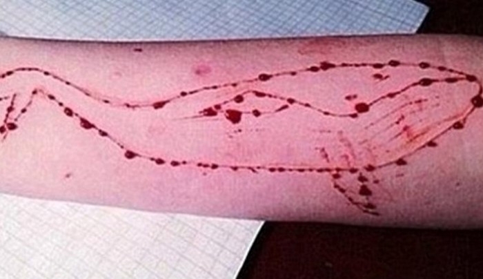 Ανακοίνωση της Εισαγγελέως για τη “Μπλε Φάλαινα”