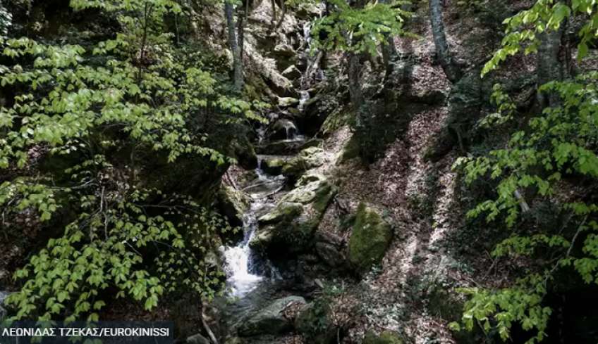 Δασικοί χάρτες: Τέλος χρόνου για τις αντιρρήσεις - Δεύτερη ευκαιρία για να ...ξεπρασινίσουν ιδιοκτησίες