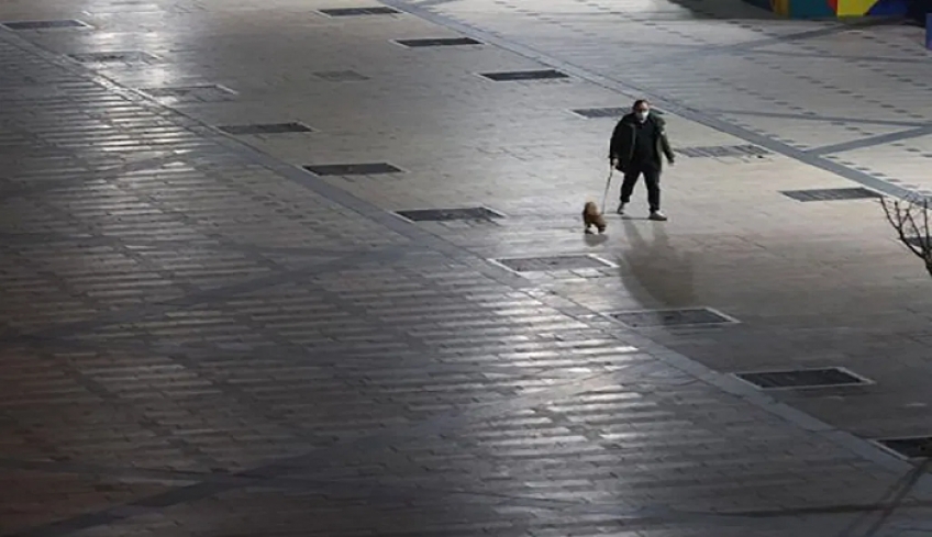 Απίστευτο χάος με τους κωδικούς μετακίνησης – Δεν ξέρει ο κόσμος πώς θα μετακινείται και πού