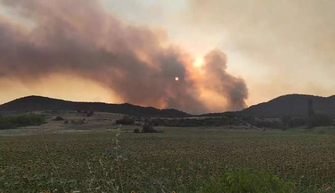 Φωτιά στον Έβρο: Μαίνεται το πύρινο μέτωπο στο δάσος της Δαδιάς