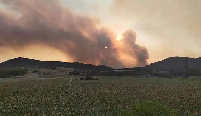 Φωτιά στον Έβρο: Μαίνεται το πύρινο μέτωπο στο δάσος της Δαδιάς