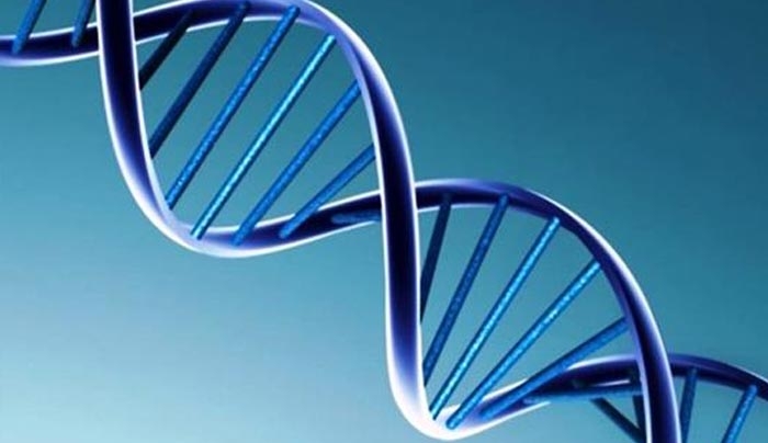 Ανάλυση DNA και μέσω κινητού τηλεφώνου!