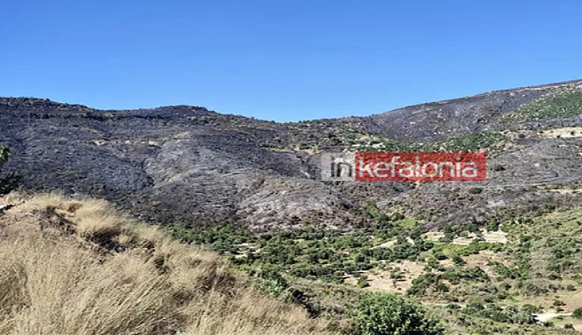 Υπό πλήρη έλεγχο η φωτιά στην Κεφαλονιά – Στάχτη πάνω από 10.000 στρέμματα