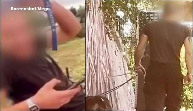 Ταυτοποιήθηκε ο ιδιοκτήτης πίτμπουλ που αφήνει τον σκύλο να σκοτώνει γάτες - Φέρεται να είναι πρώην παίκτης ριάλιτι