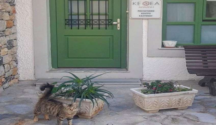 Εξαπάτηση πολιτών και απόσπαση χρημάτων στην Κάλυμνο, από επιτήδειους που χρησιμοποιούν το όνομα του ΚΕΘΕΑ.