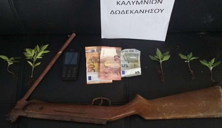 Συνελήφθη στην Κάλυμνο διωκόμενος ημεδαπός για καλλιέργεια ναρκωτικών και οπλοκατοχή